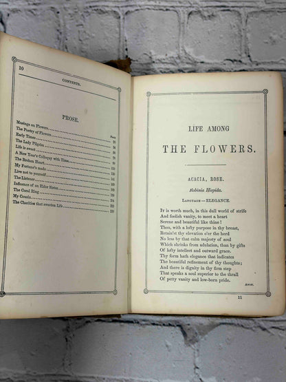 The Rural Wreath by Laura Greenwood, 1858 - section title, Life Among the Flowers