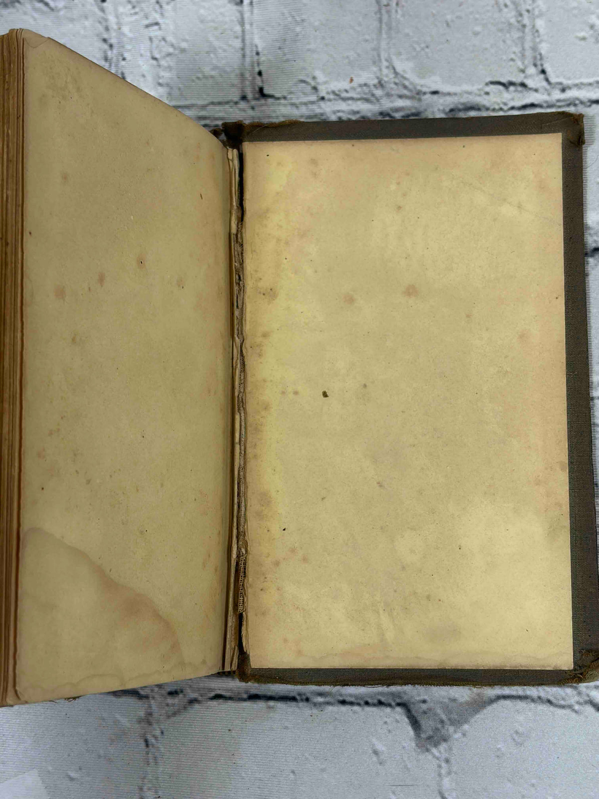 The Rural Wreath by Laura Greenwood, 1858 - rear endpapers