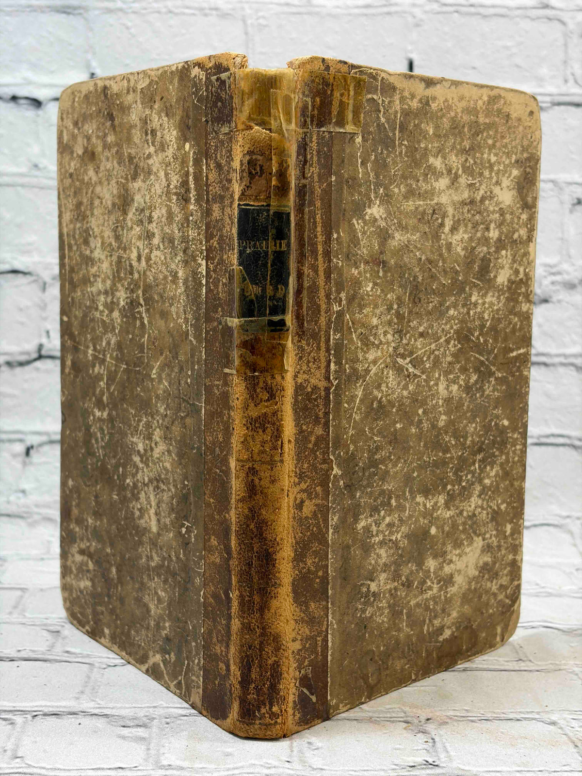 The Prairie-Bird by Charles Augustus Murray, Harper - spine and covers