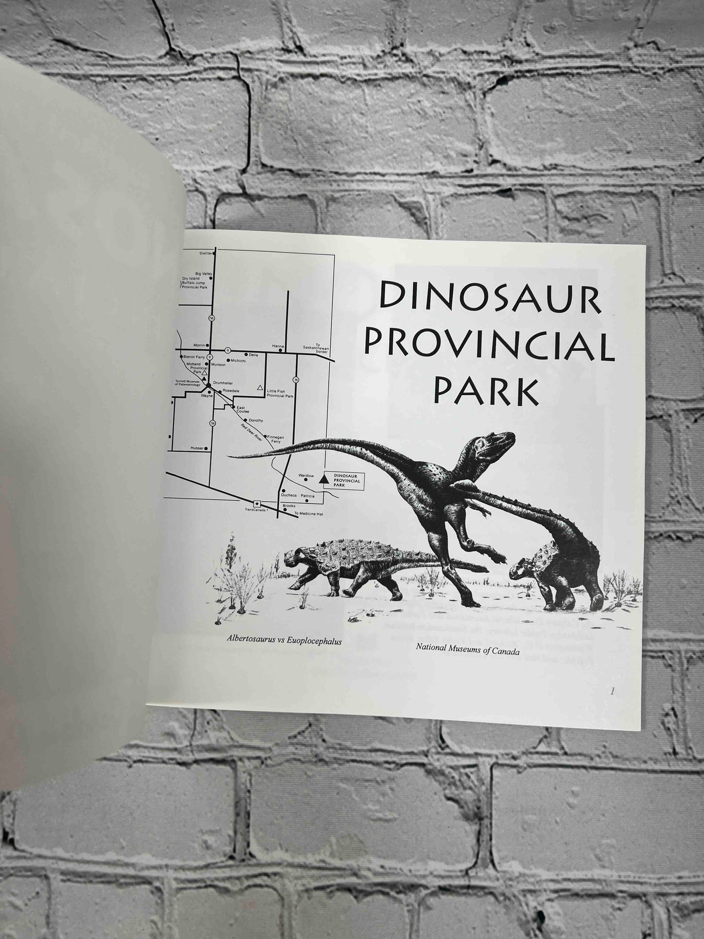 Dinosaur Provincial Park: Land of Vanished Dinosaurs