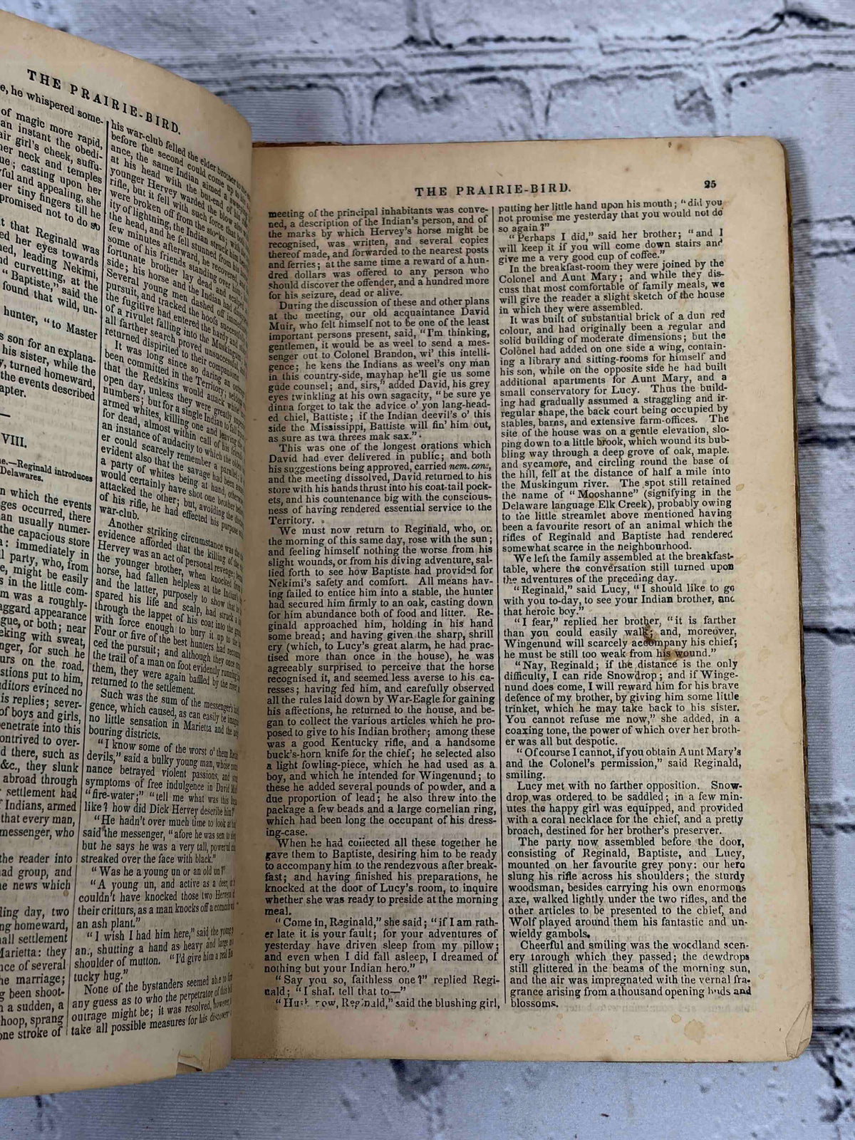 The Prairie-Bird by Charles Augustus Murray, Harper - interior pages