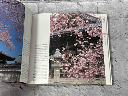 Kyoto: Famous Cherry Blossom Spots (京都桜名所 Suiko books (119)