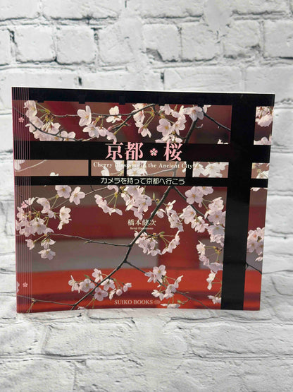 Cherry Blossoms in the Ancient City