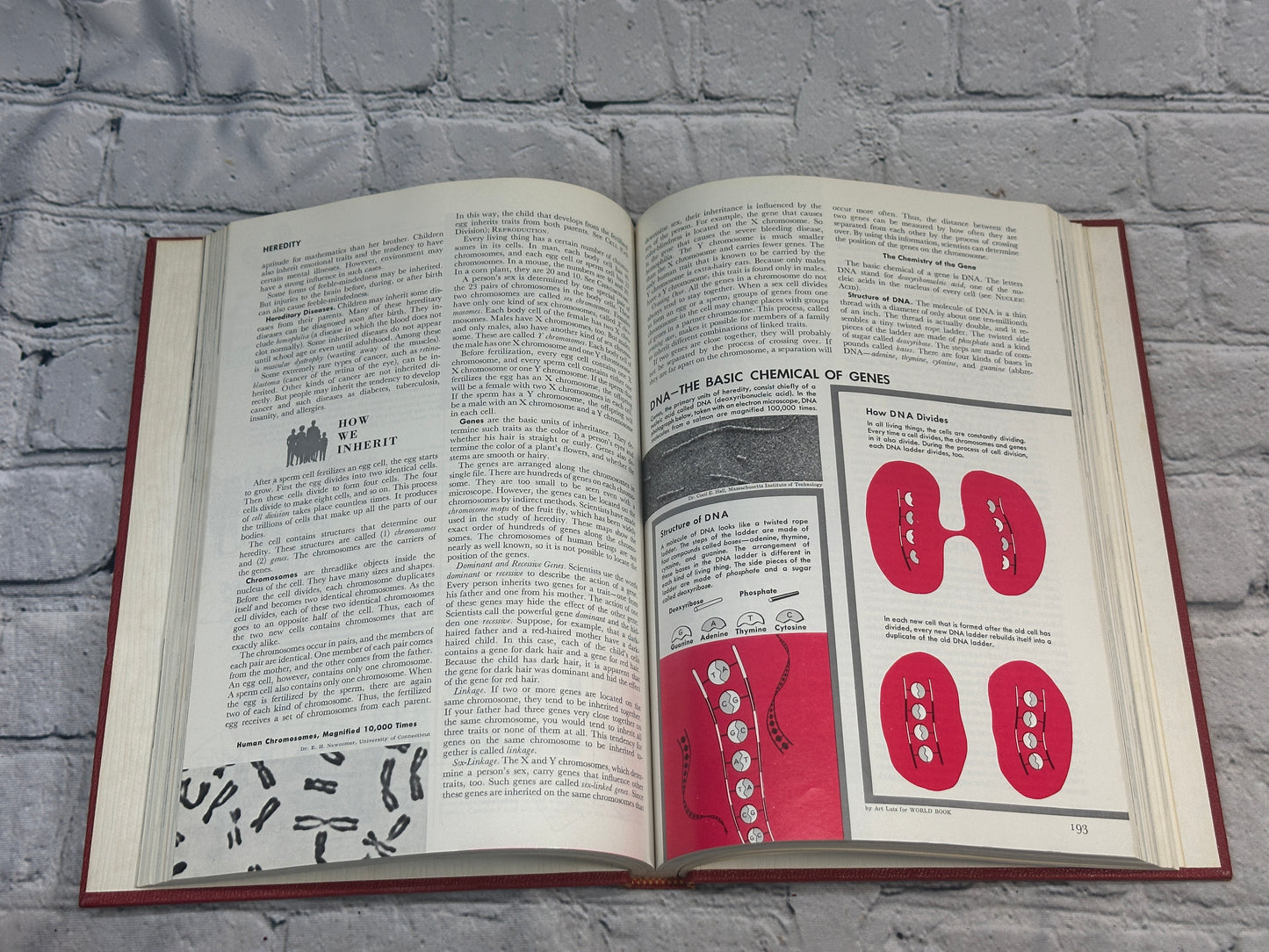 The World Book Encyclopedia Complete 20 Vol. Set [1967]