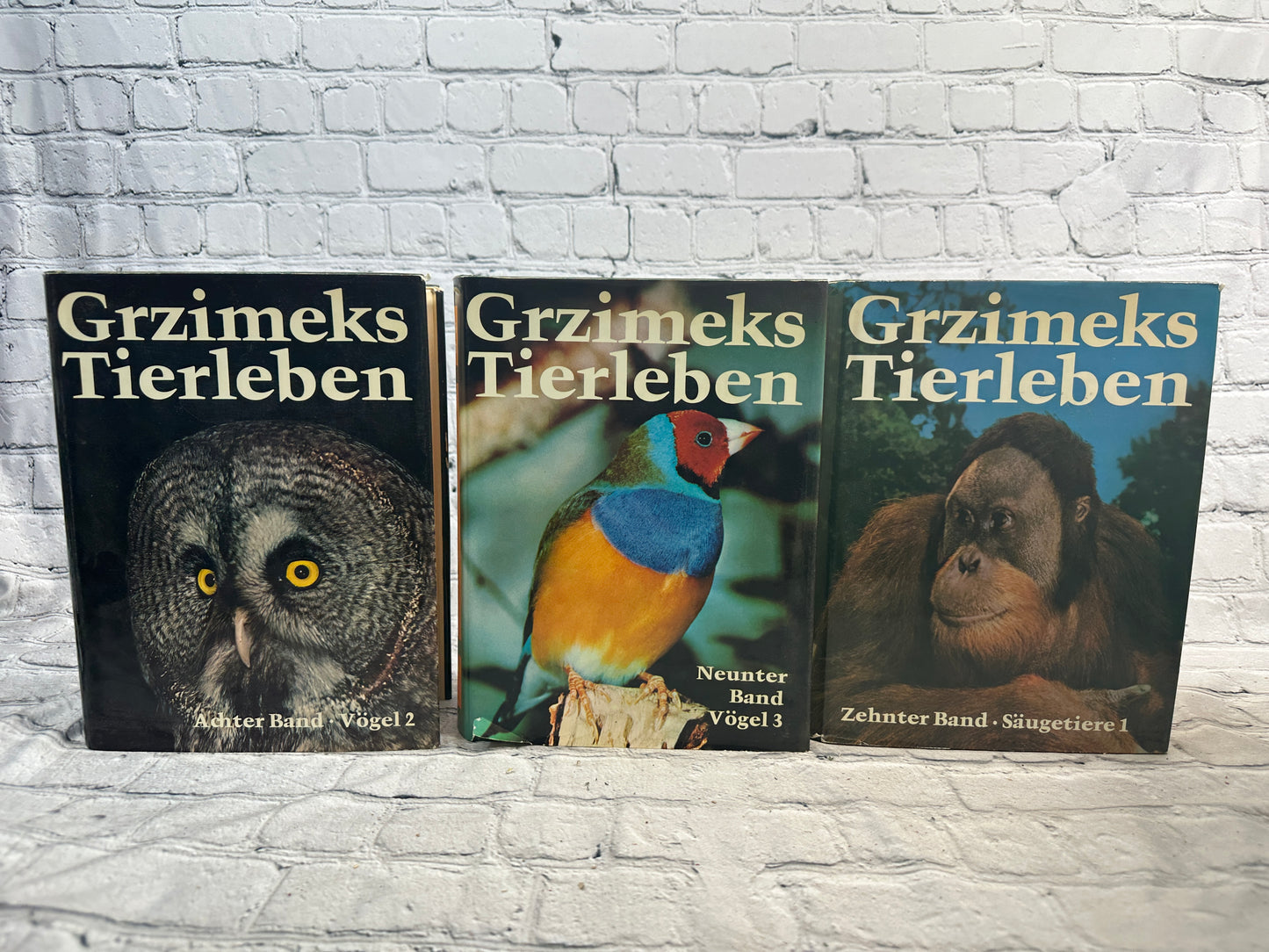 Grzimek's Animal Encyclopedia Grzimeks Tierleben [German · 1968-1971 · 14 Volumes]