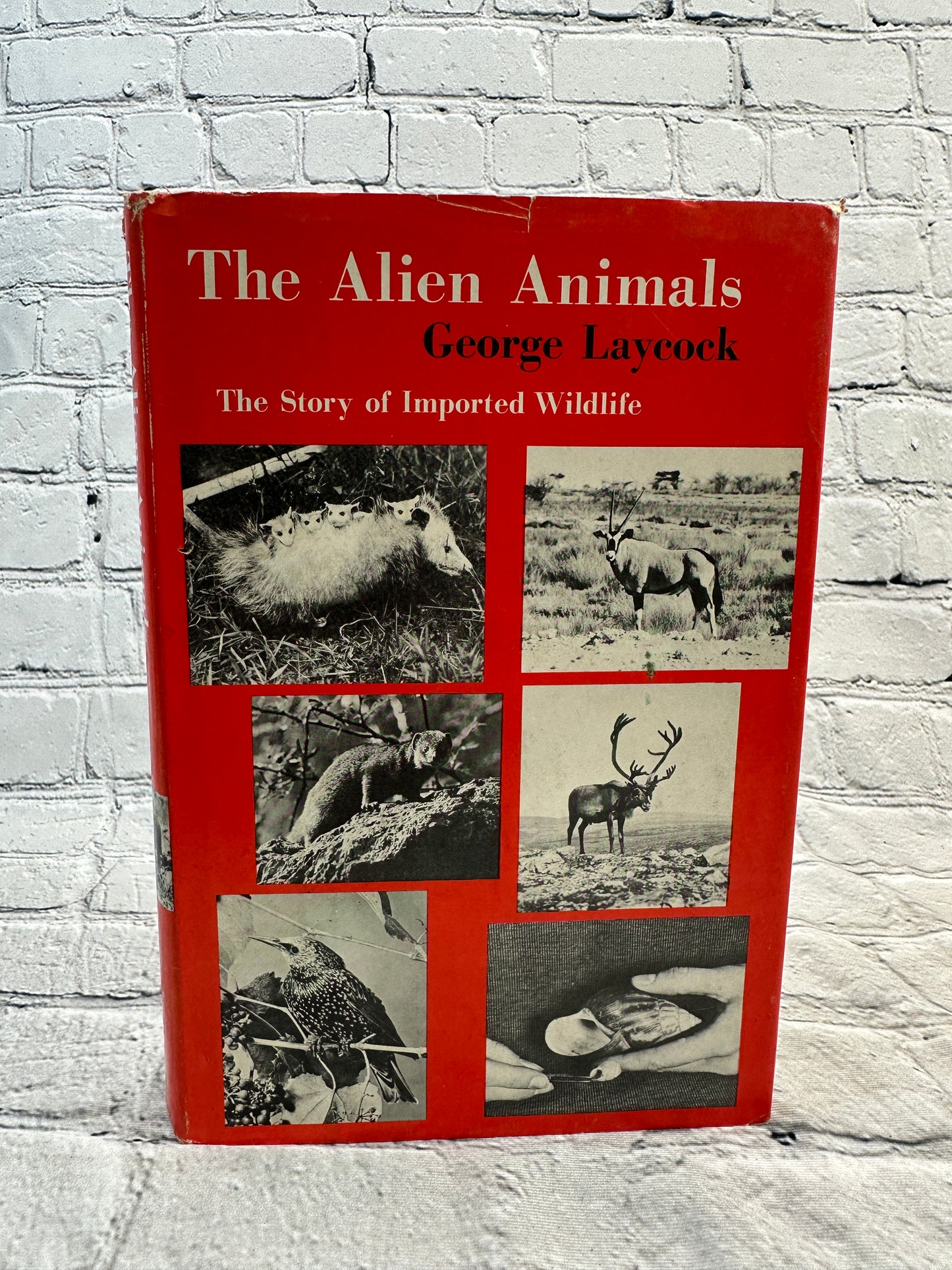 The Alien Animals by George Laycock [1966 · First Edition]