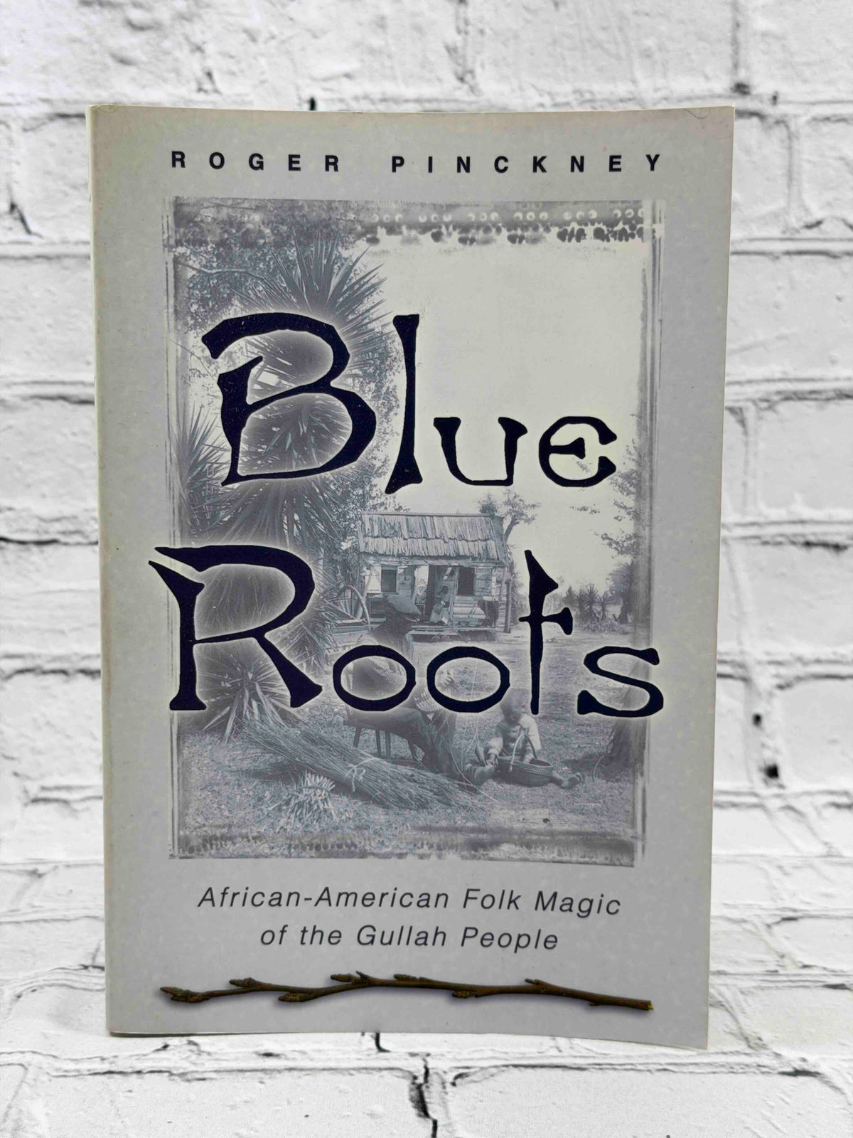 Blue Roots: African-American Folk Magic of the Gullah People