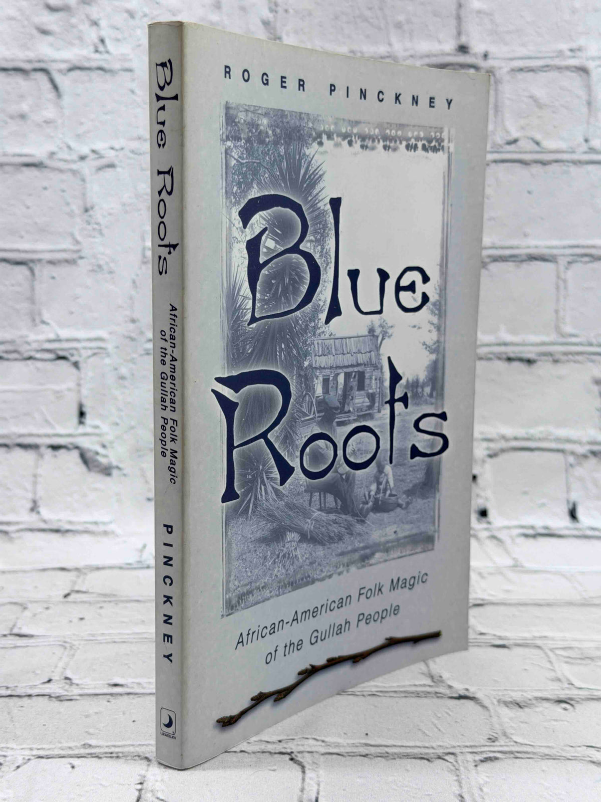 Blue Roots: African-American Folk Magic of the Gullah People