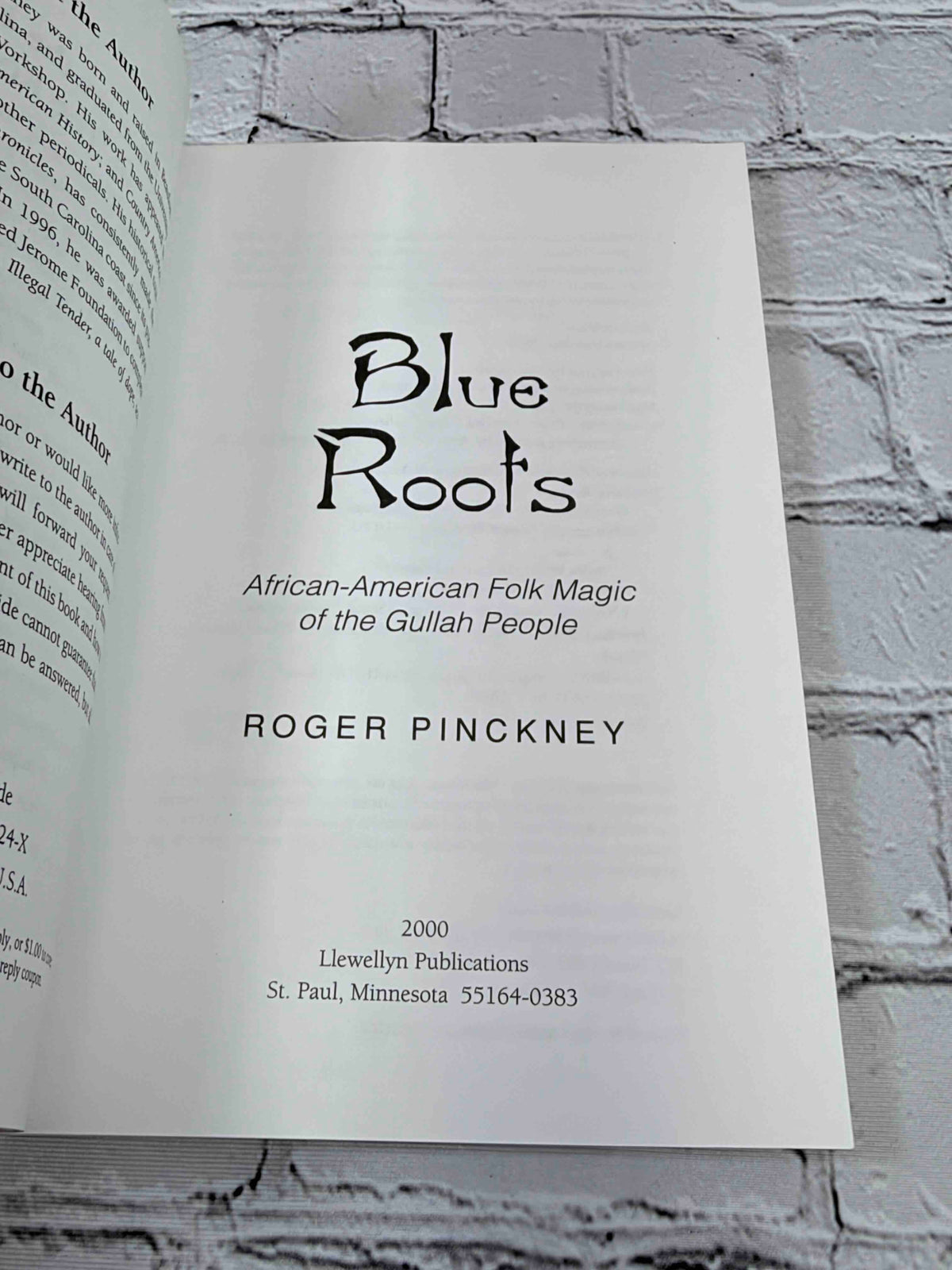 Blue Roots: African-American Folk Magic of the Gullah People