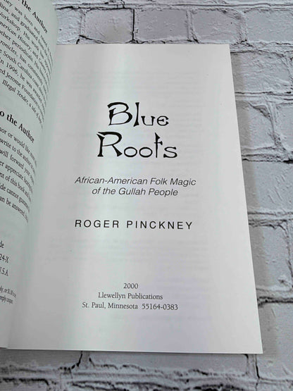 Blue Roots: African-American Folk Magic of the Gullah People