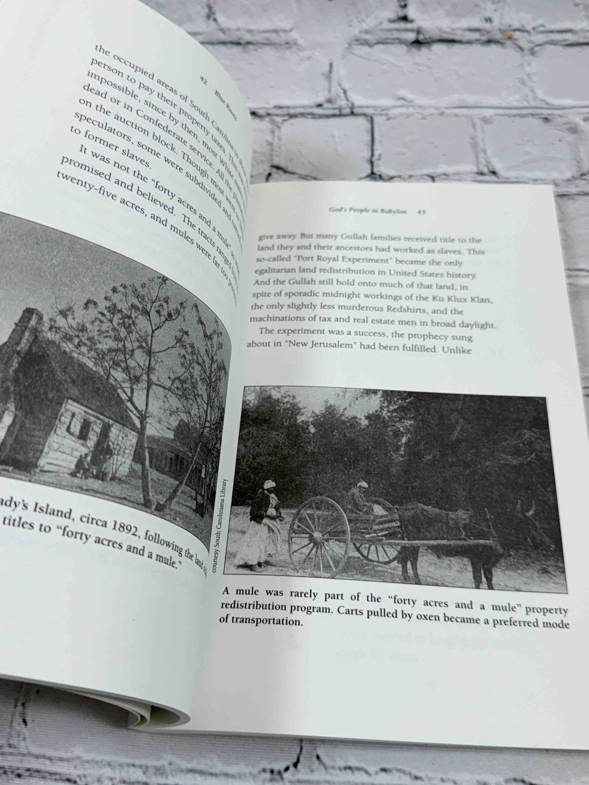 Blue Roots: African-American Folk Magic of the Gullah People