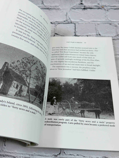 Blue Roots: African-American Folk Magic of the Gullah People