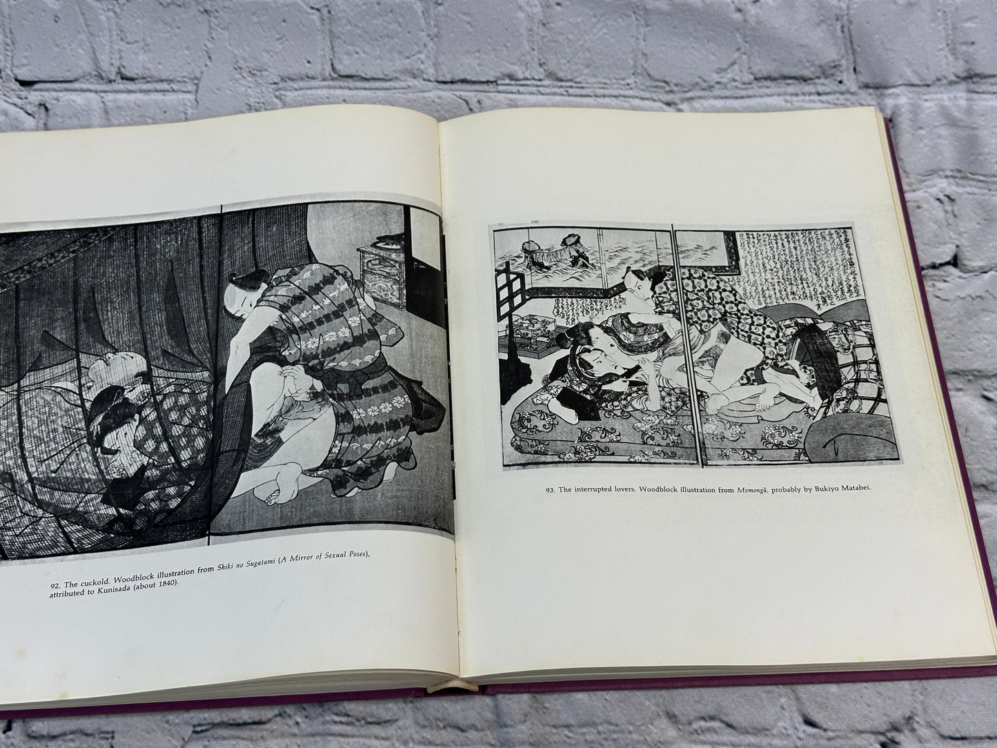 Studies In Erotic Art by Theodore Bowie, et. al [1970]