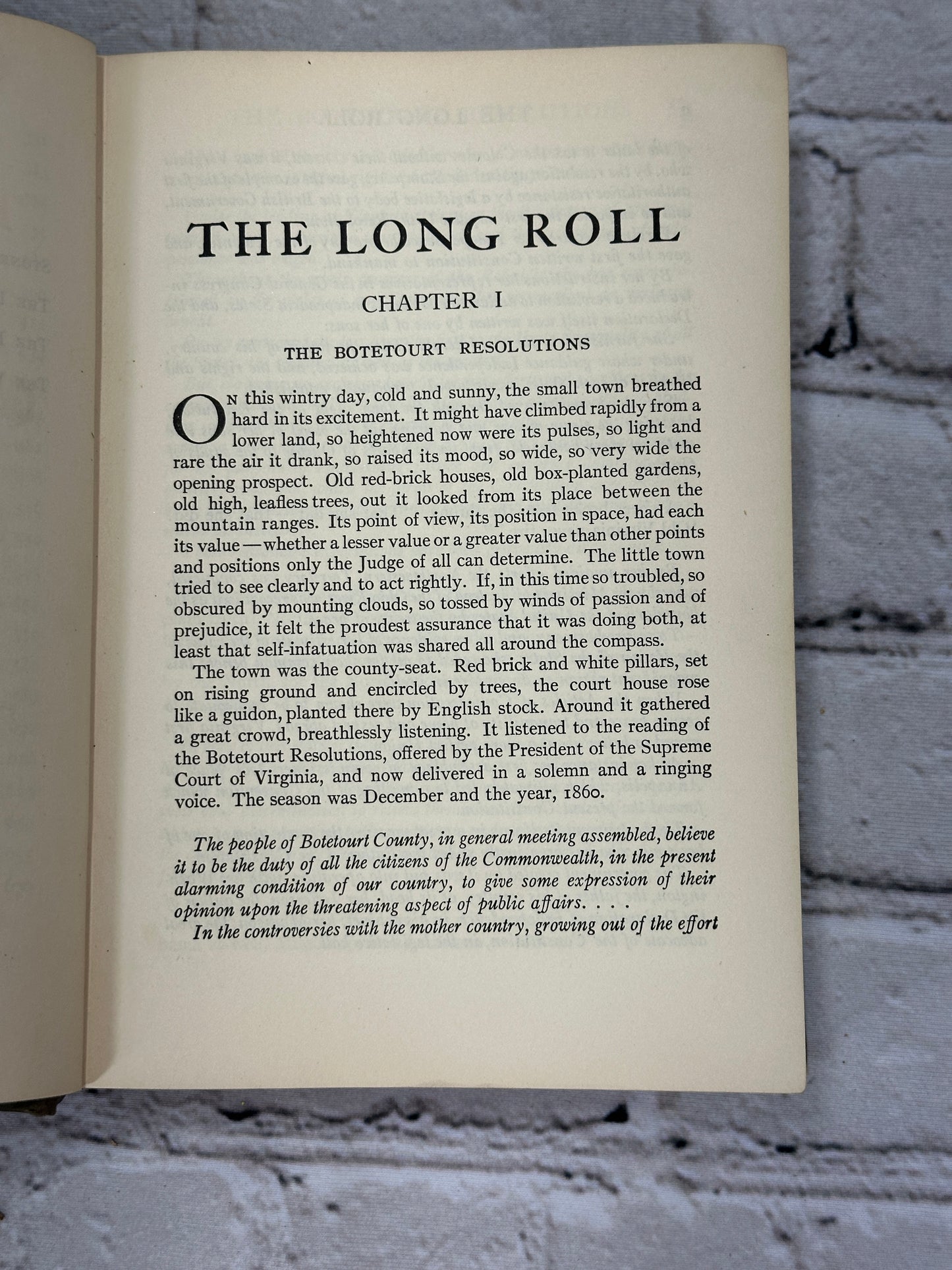 The Long Roll by Mary Johnston [1st Edition · 1911]