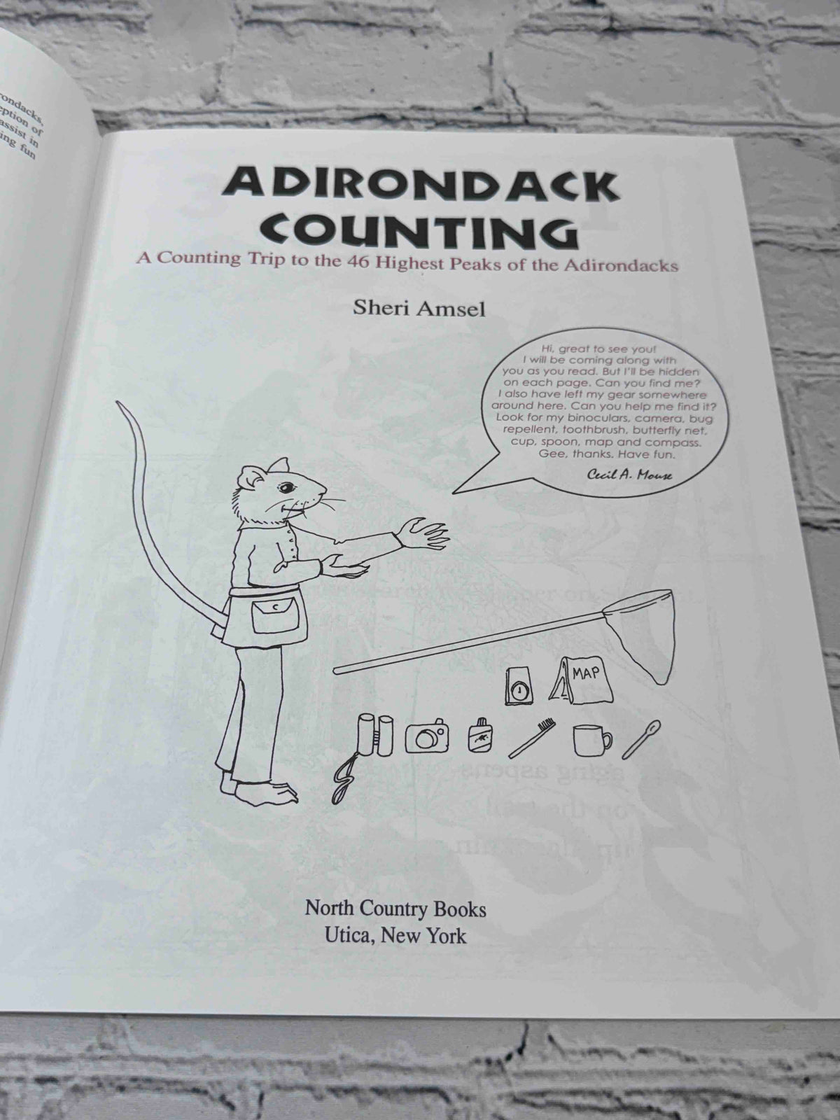 Adirondack Counting (Signed)