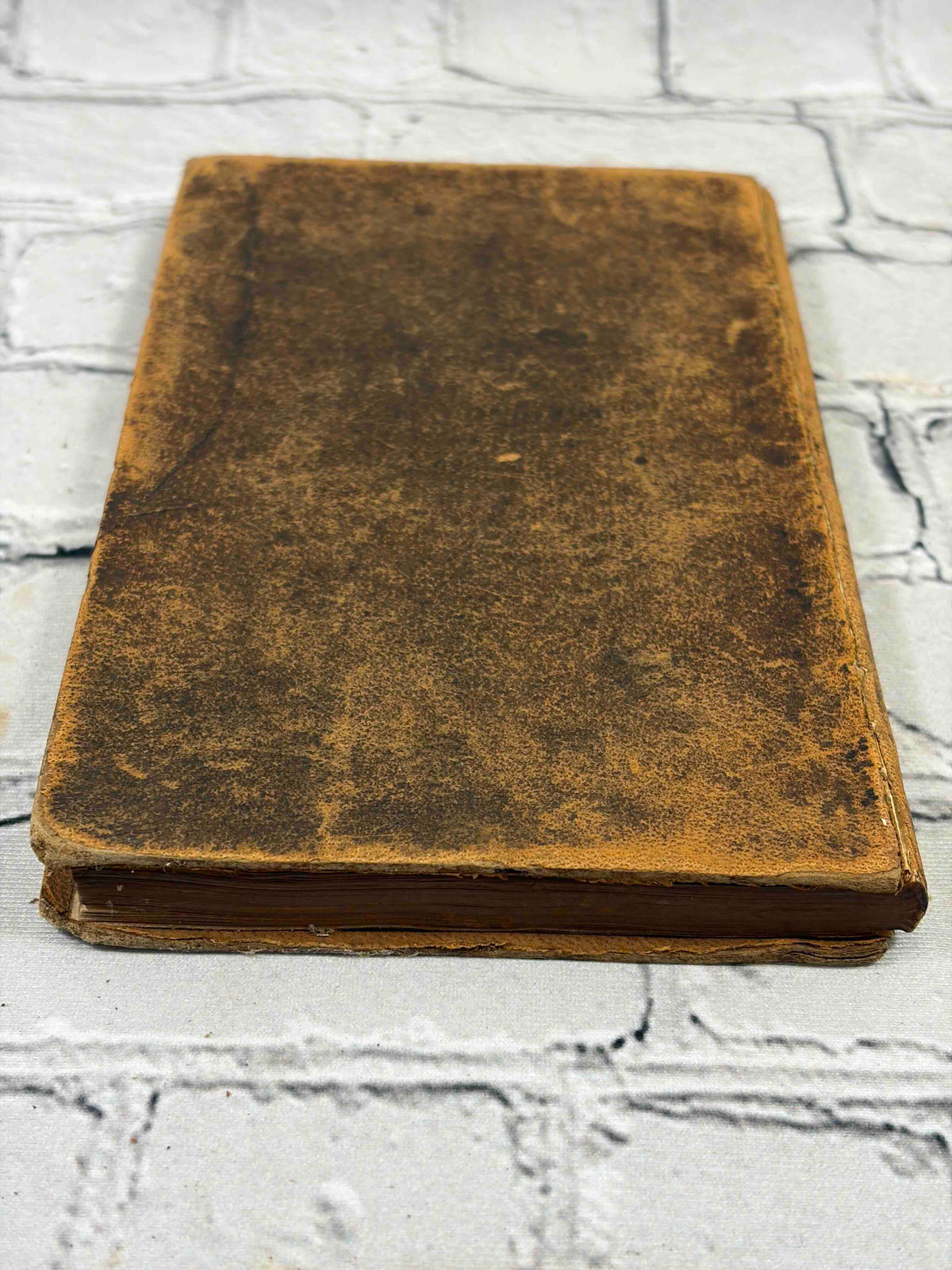 An Abridgment of the New Testament by Mrs. Trimmer, Rivington leather edition - rear cover and edges