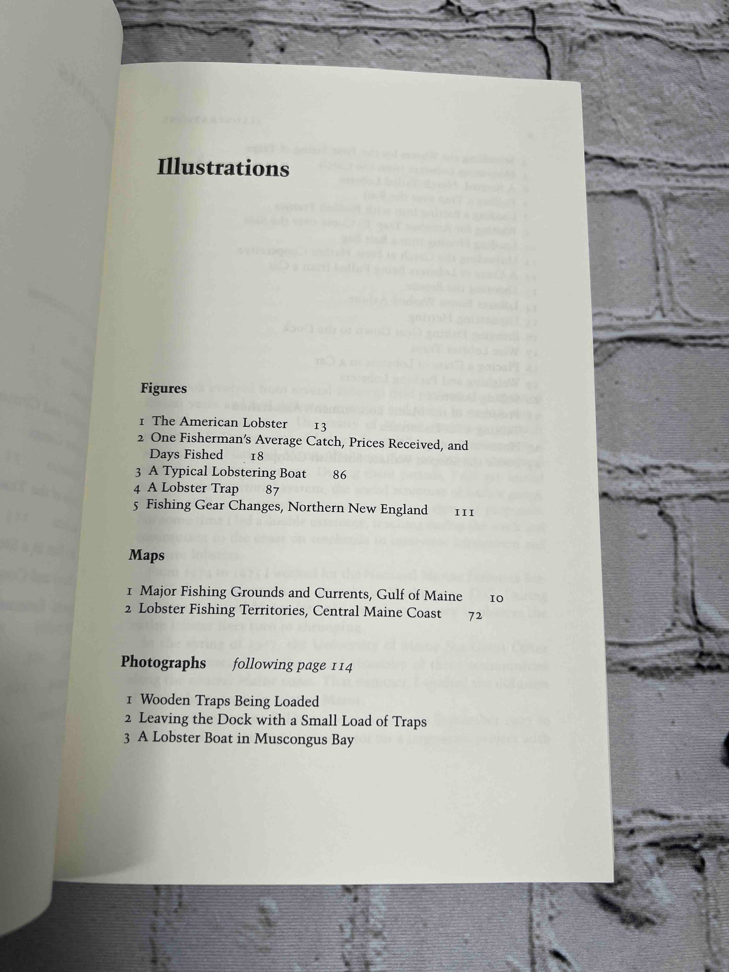 The Lobster Gangs of Maine