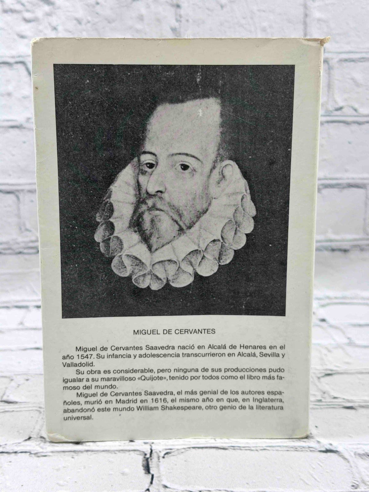 Don Quijote de La Mancha