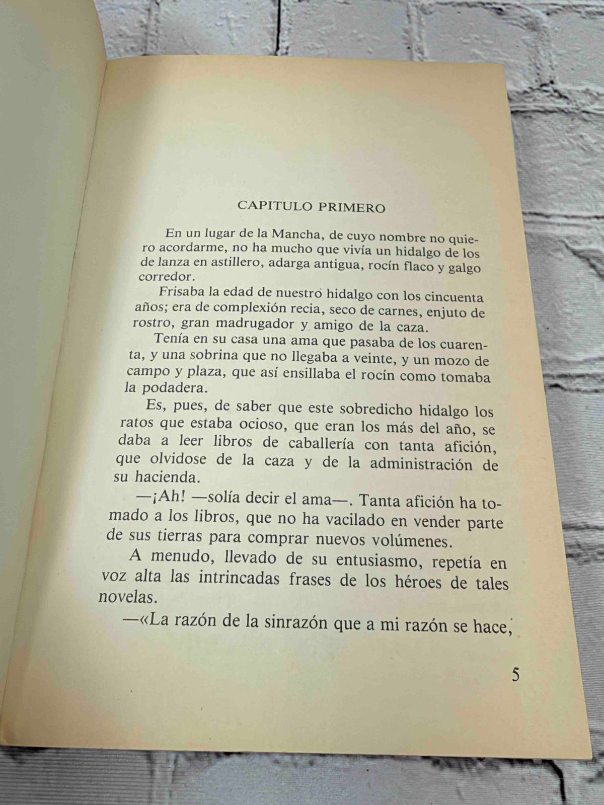 Don Quijote de La Mancha