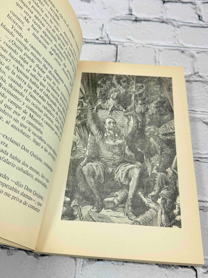 Don Quijote de La Mancha