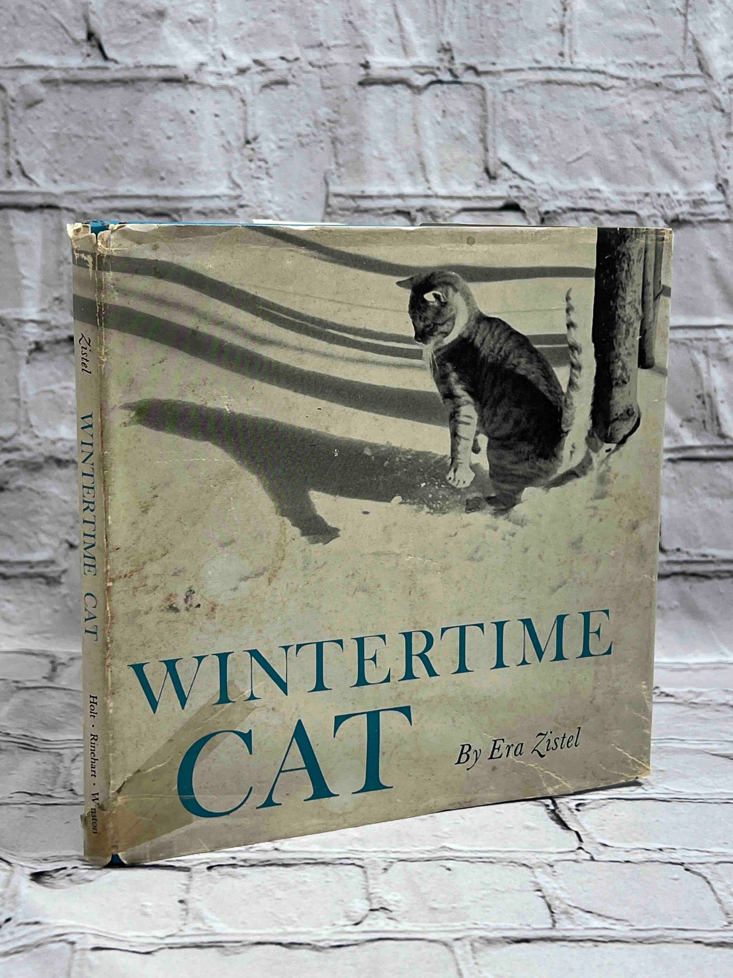 Wintertime Cat