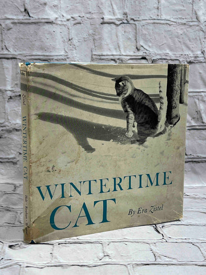 Wintertime Cat