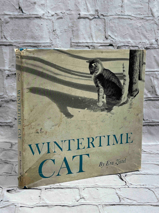 Wintertime Cat