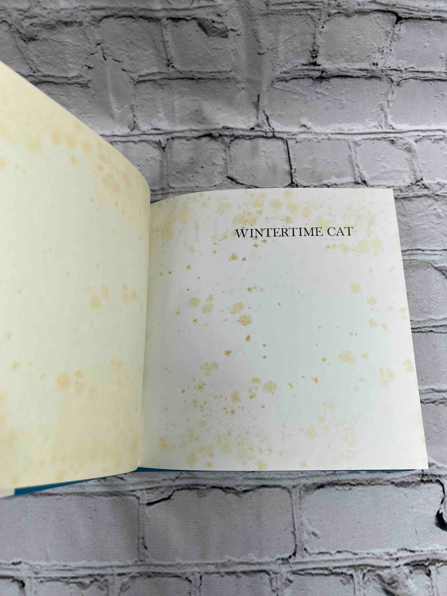 Wintertime Cat
