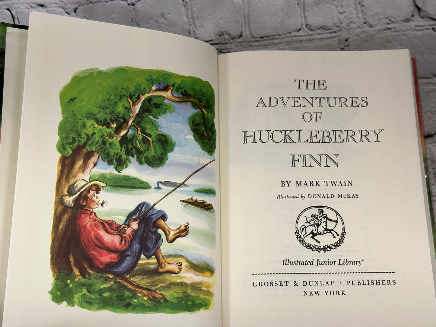 Illustrated Junior Library: The Adventures of Huckleberry Finn [1994]