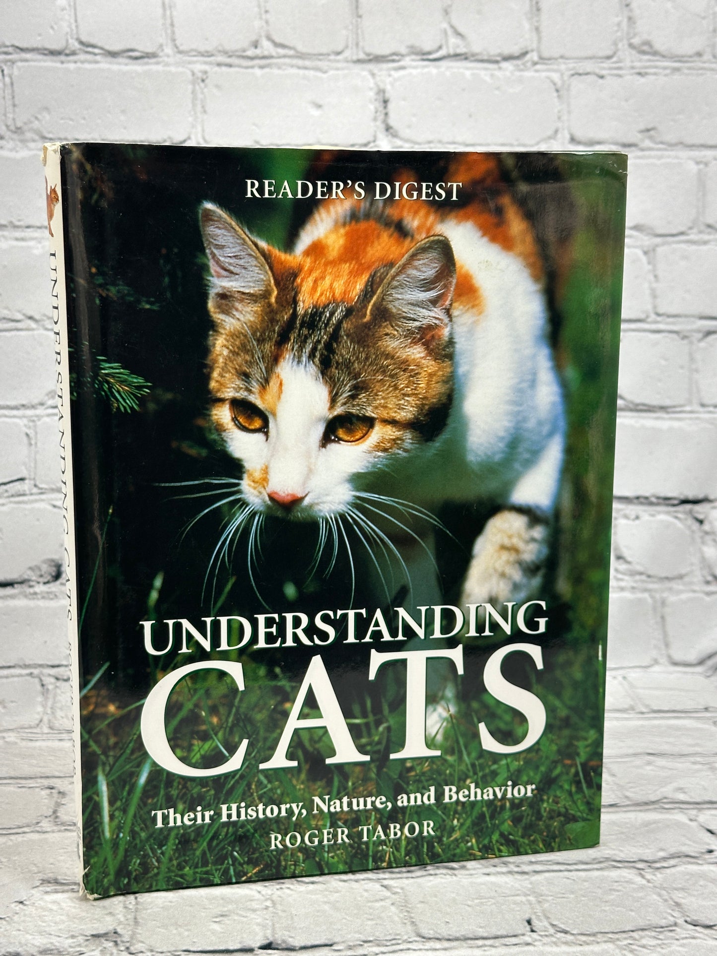 Understanding Cats: Their History, Nature, and Behavior by Roger Tabor [1997]