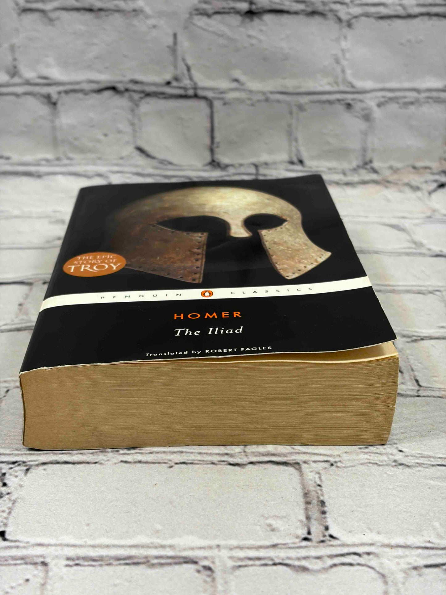 The Iliad