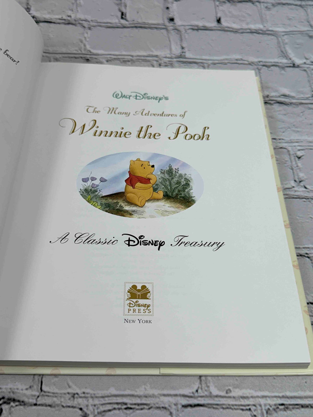 The Many Adventures of Winnie the Pooh: A Classic Disney Treasury