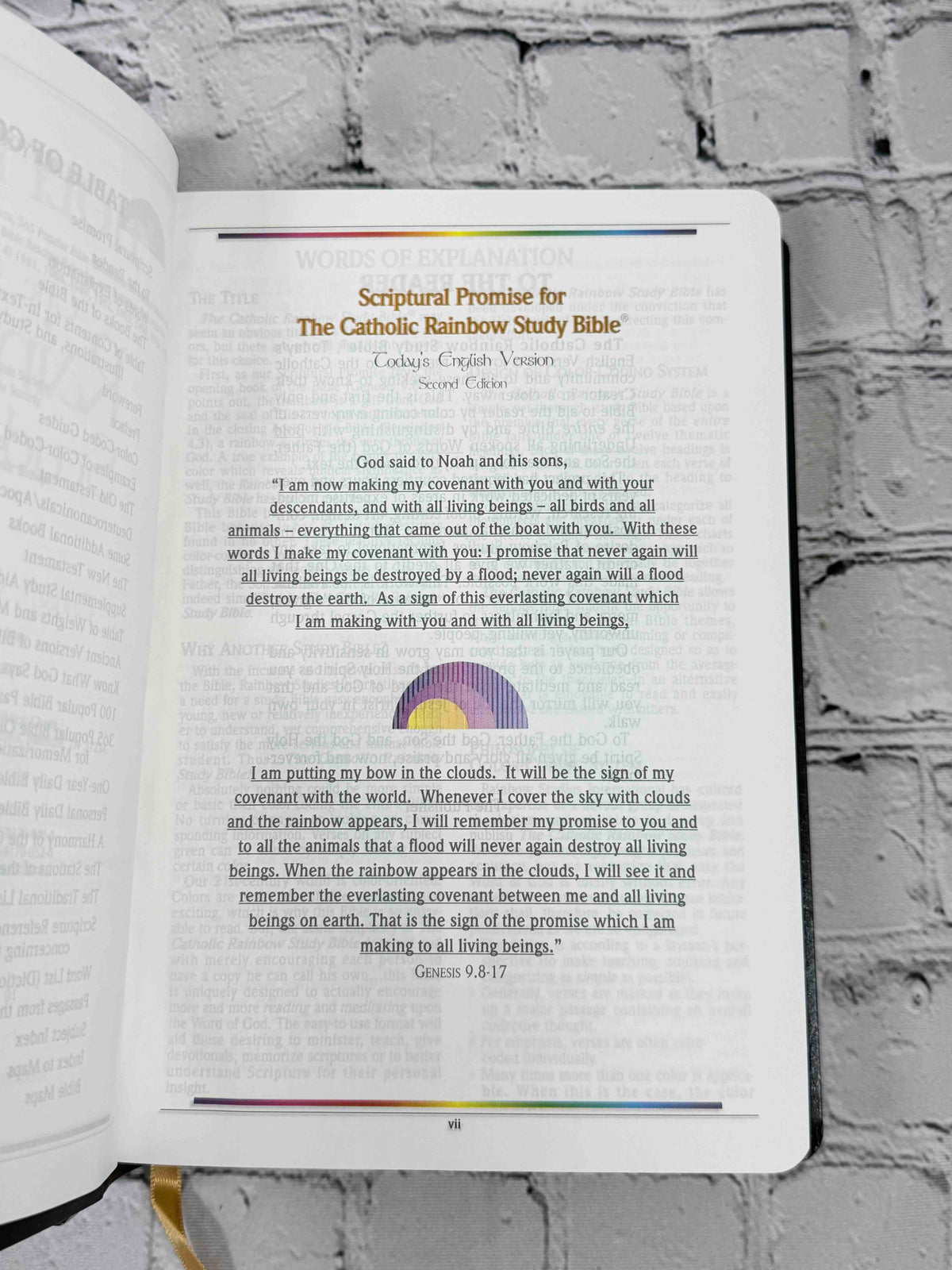 Holy Bible: The Catholic Rainbow Study Bible : Today's English Version
