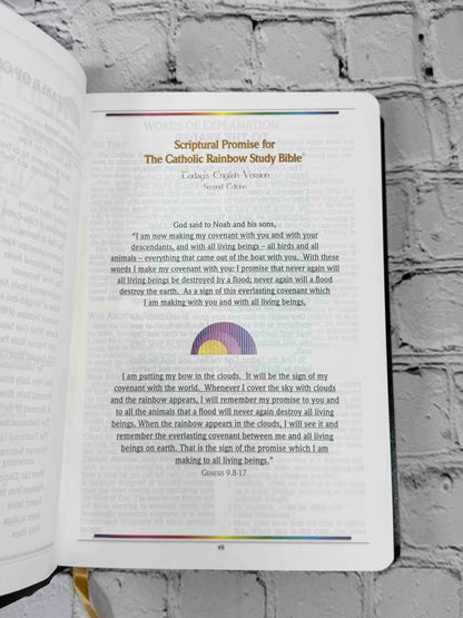 Holy Bible: The Catholic Rainbow Study Bible : Today's English Version
