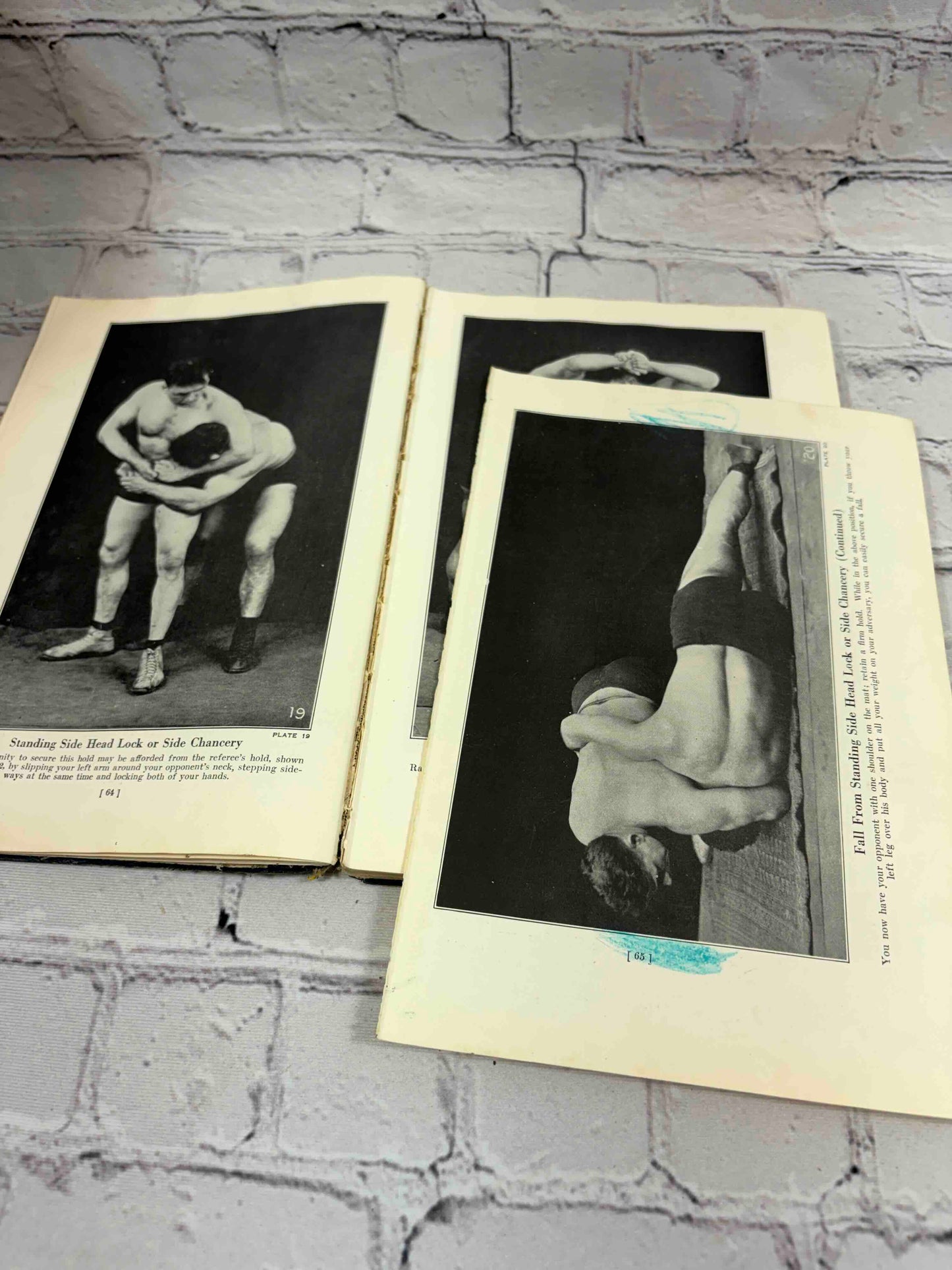 The Science of Wrestling and the Art of Jiu Jitsu