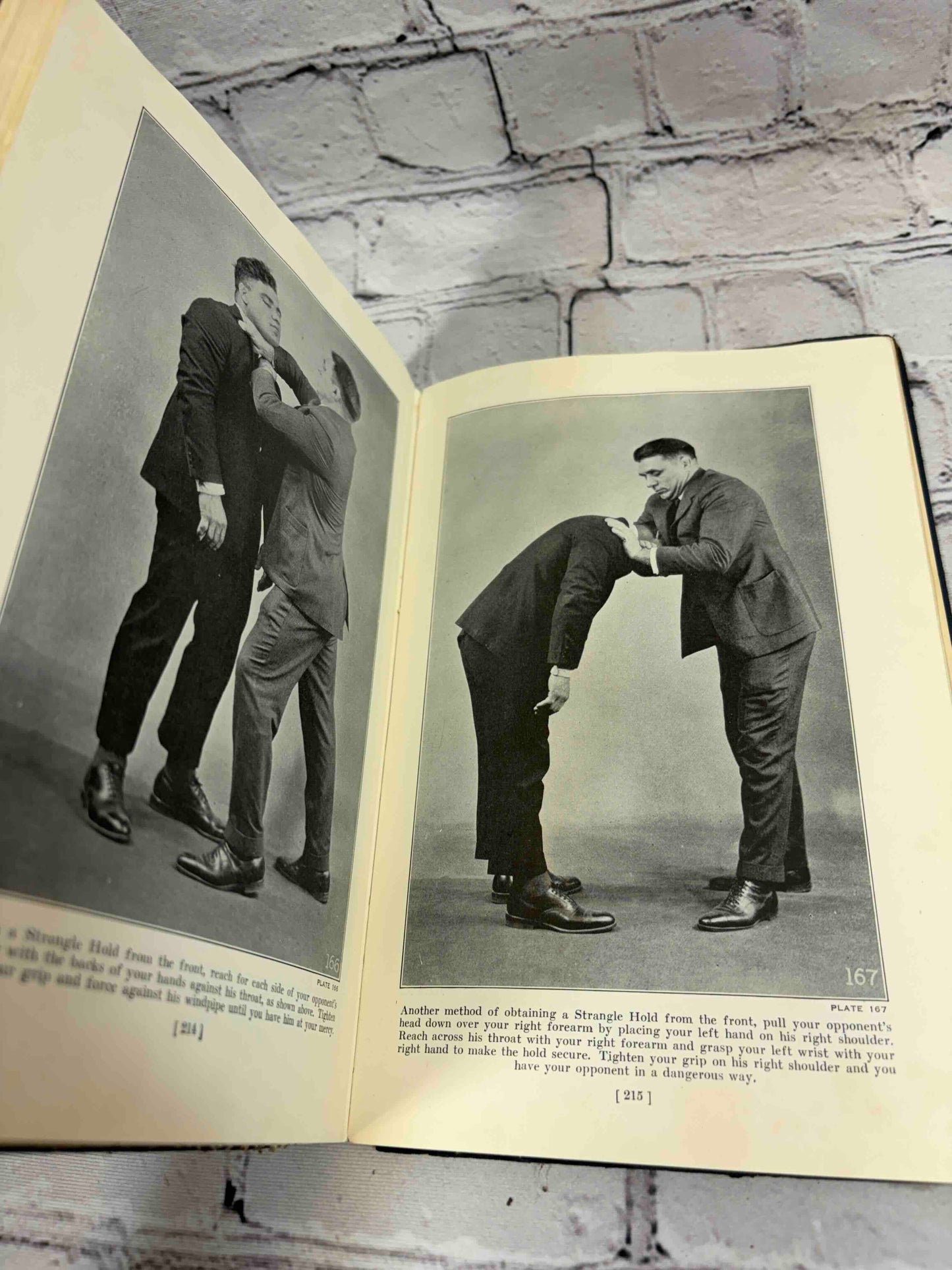 The Science of Wrestling and the Art of Jiu Jitsu