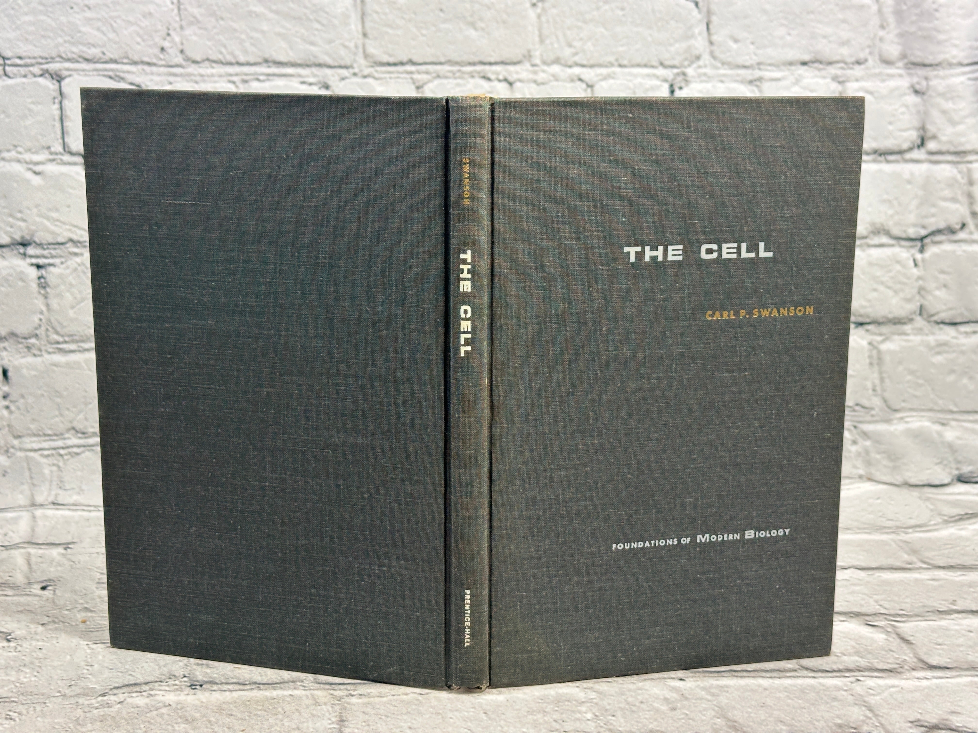 IMG_7837_2289ca50-95fc-4a1a-