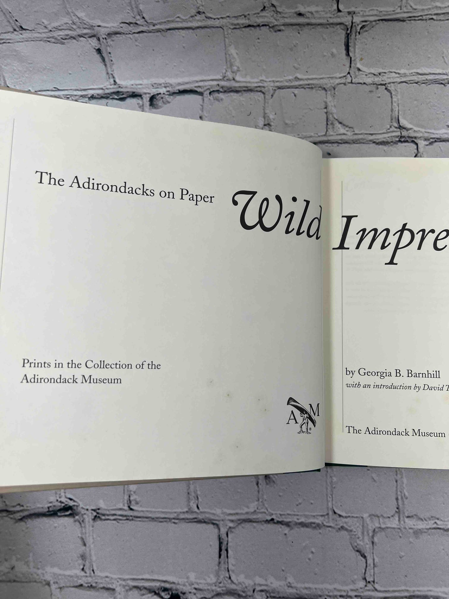 Wild Impressions: Prints from the Collection of the Adirondack Museum