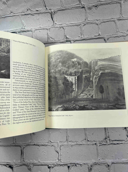Wild Impressions: Prints from the Collection of the Adirondack Museum