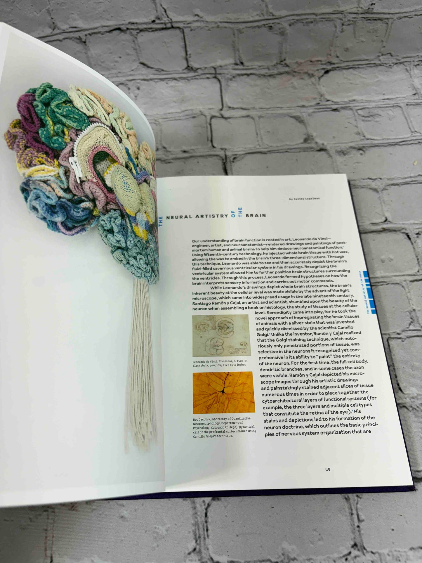 Radical Fiber: Threads Connecting Art and Science