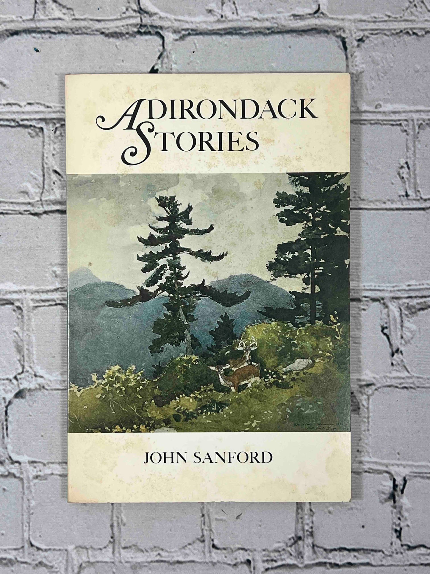 Adirondack Stories