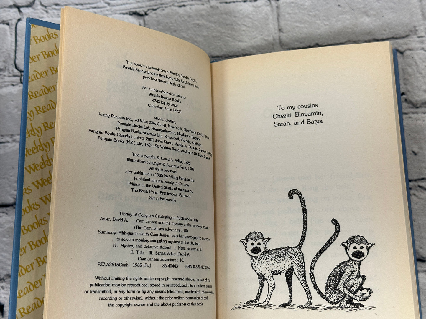 Birthday Blues by Mary Cockett Ill. by Doreen Caldwell [1985 · Weekly Reader]