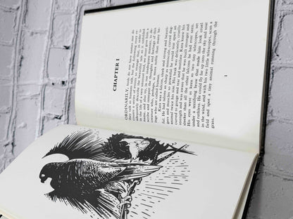 Kara, the Lonely Falcon (Signed)