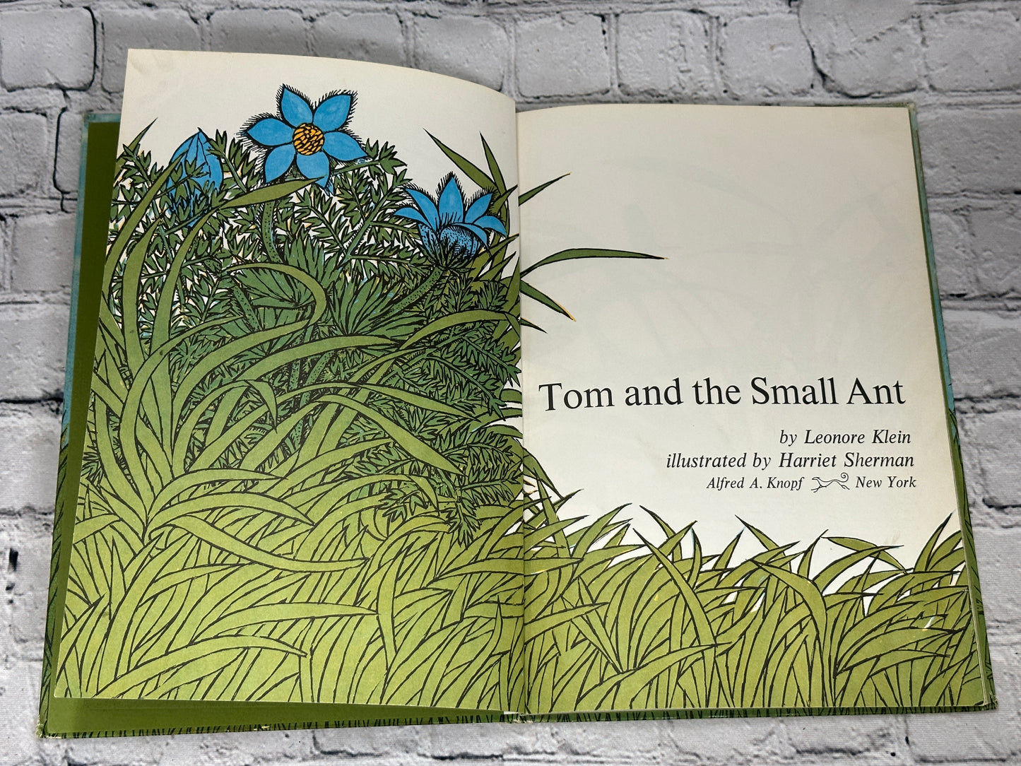 Tom and the Small Ant by Leonore Klein [1965]