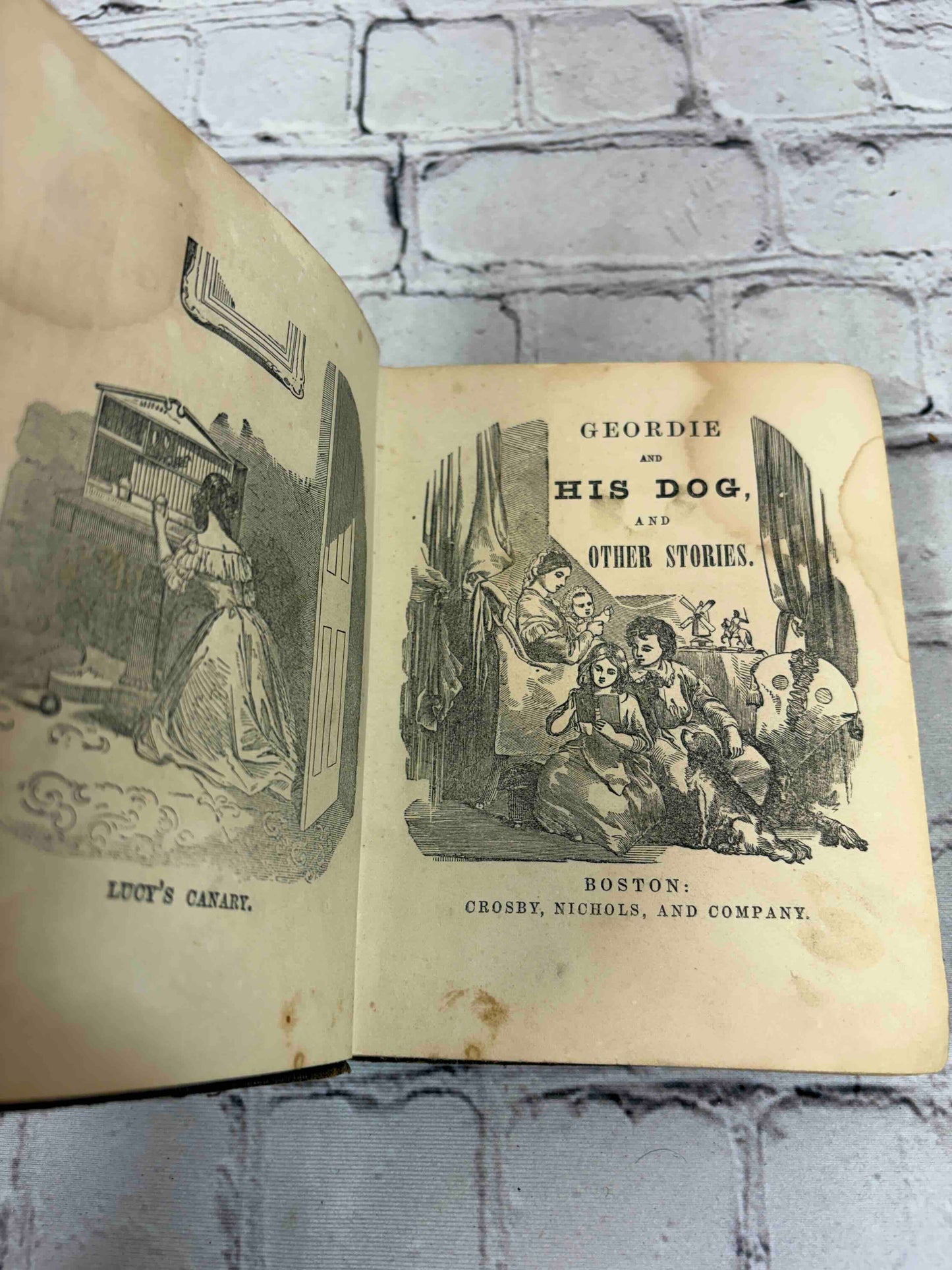 Uncle Sam's Library For Boys and Girls in his U. S. A.