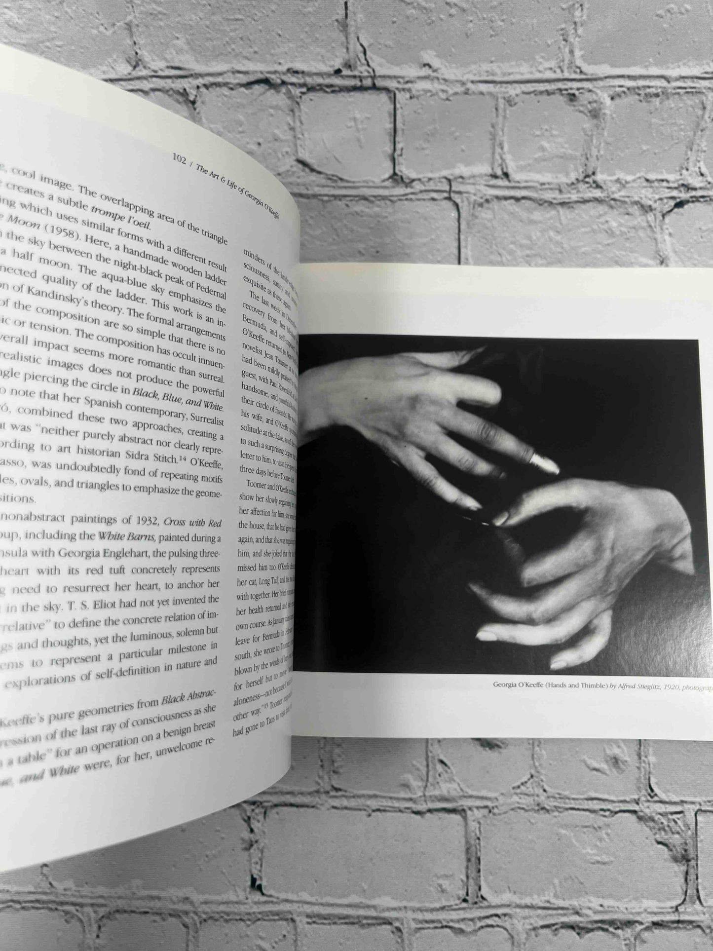 The Art and Life of Gerogia O'Keeffe