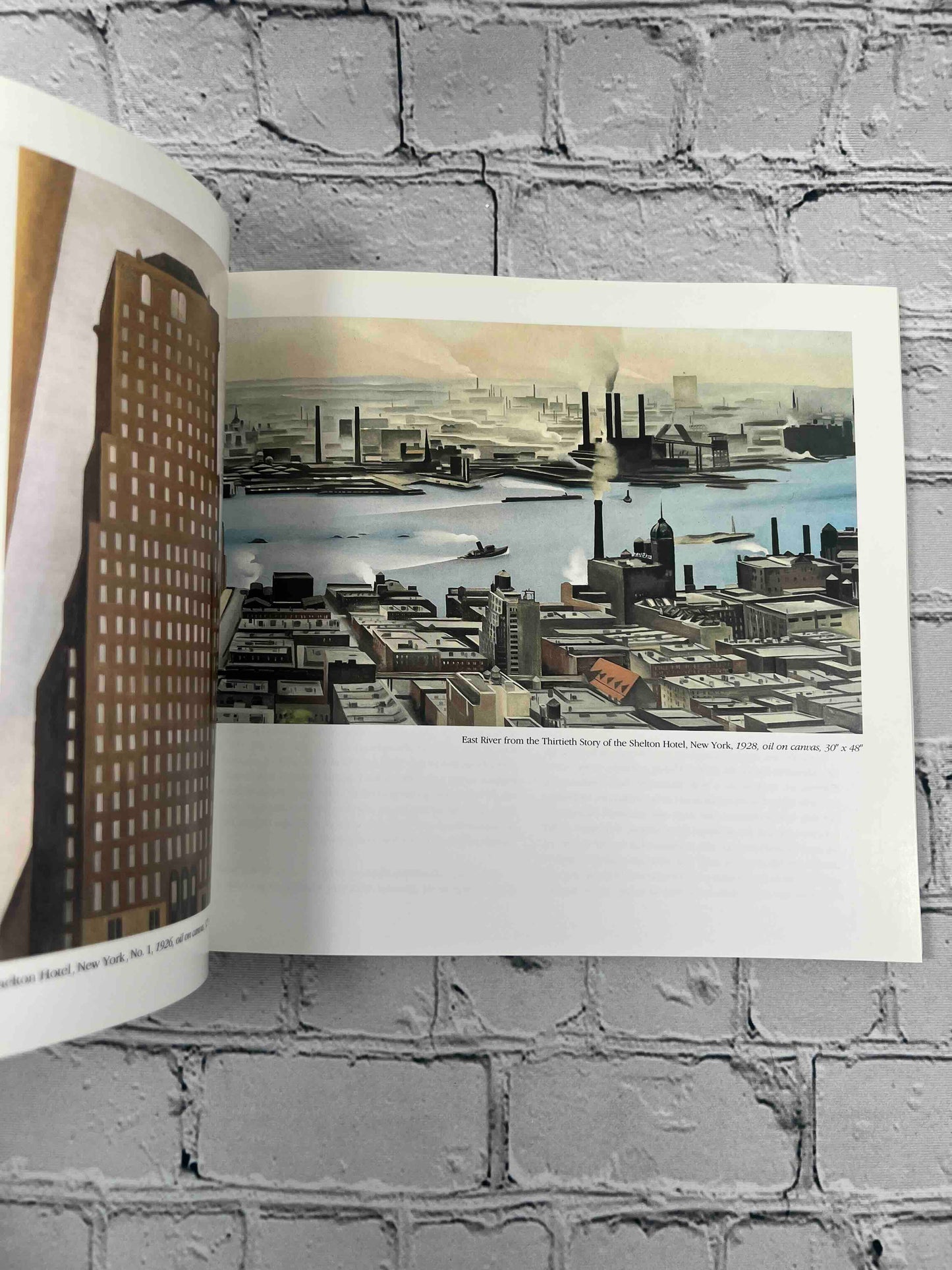 The Art and Life of Gerogia O'Keeffe