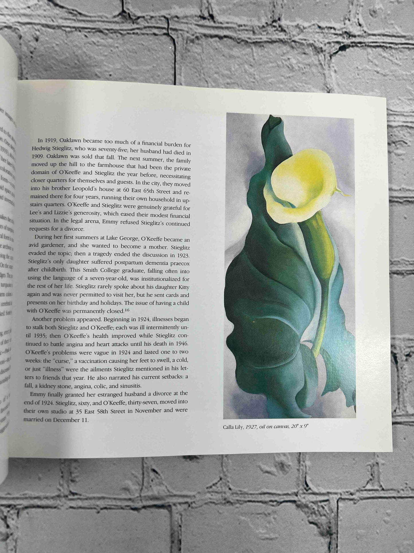The Art and Life of Gerogia O'Keeffe