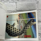 Hiroshige a book of postcards [Brooklyn Museum of Art · 30 Unused Postcards]