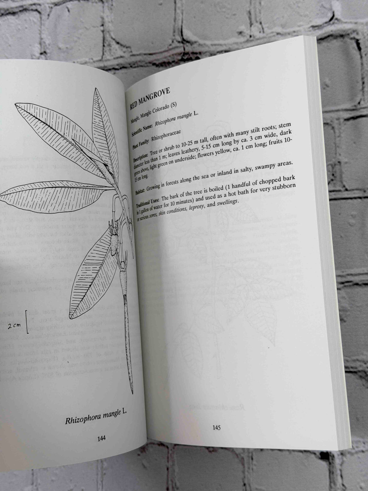 Rainforest Remedies: One Hundred Healing Herbs of Belize